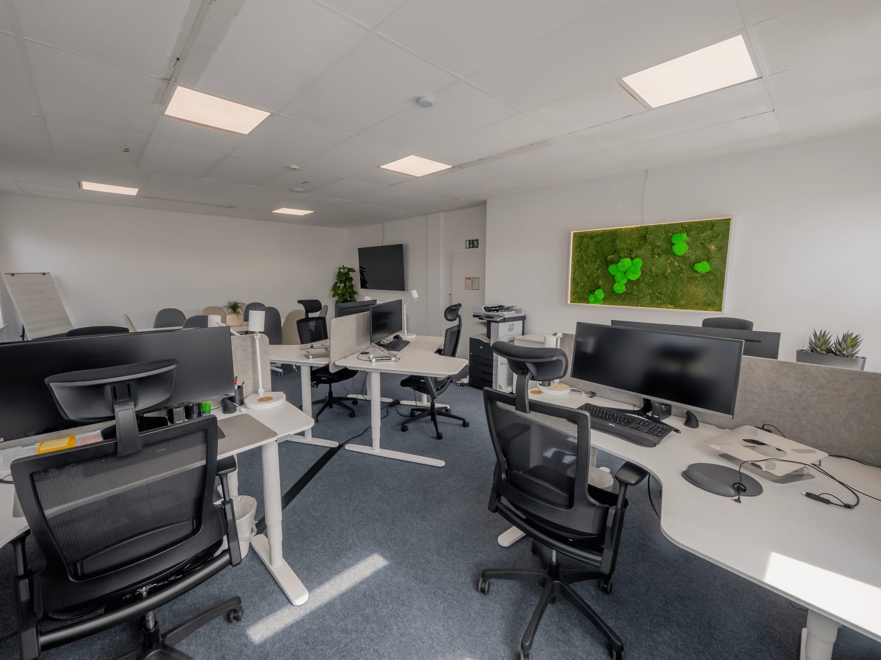 Design workstations with two screens each, on height-adjustable desks
